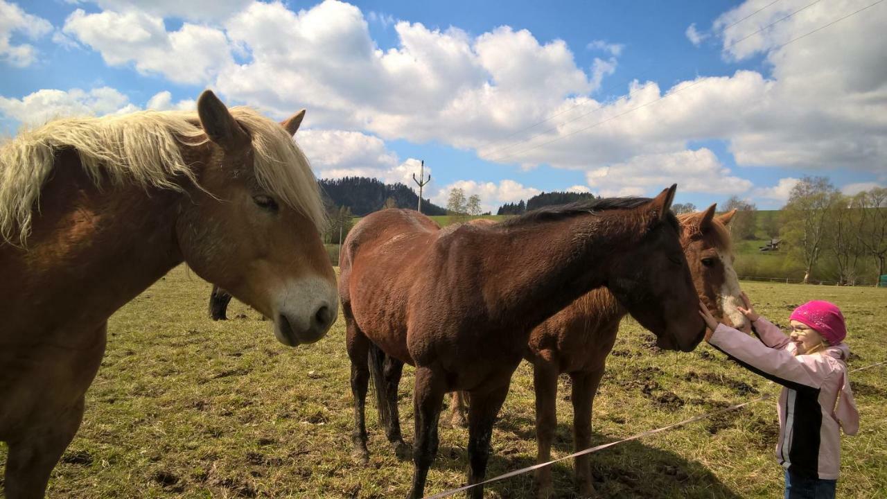 Apartmán 33 Teplice nad Metují Kültér fotó